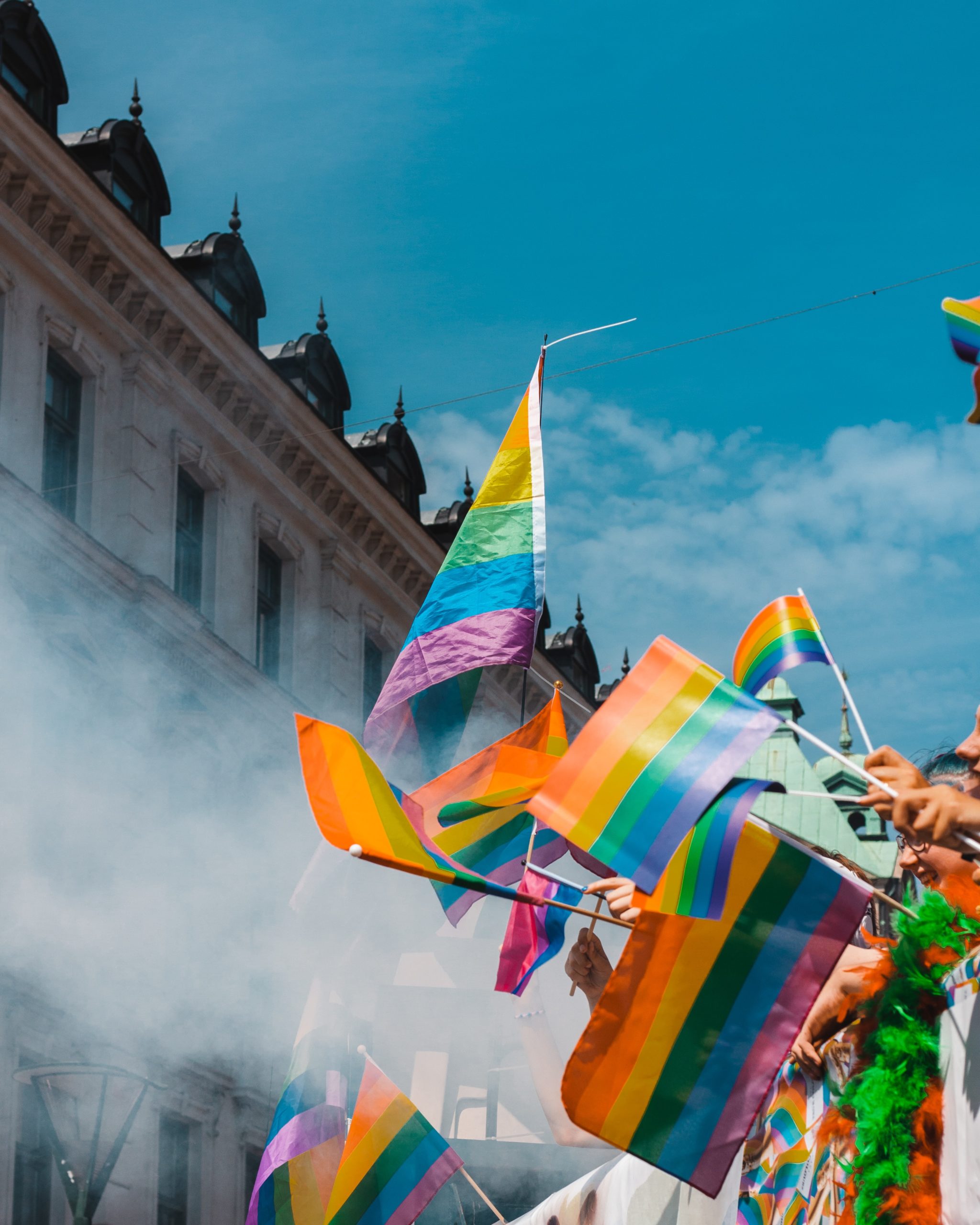 Image représentant des drapeaux LGBTQI+